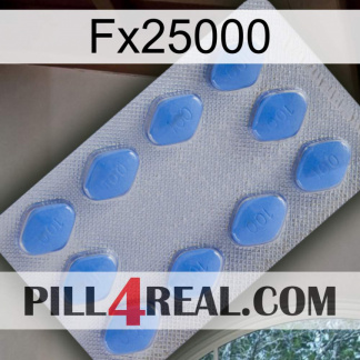 Fx25000 21